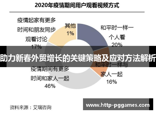 助力新春外贸增长的关键策略及应对方法解析