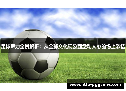 足球魅力全景解析：从全球文化现象到激动人心的场上激情
